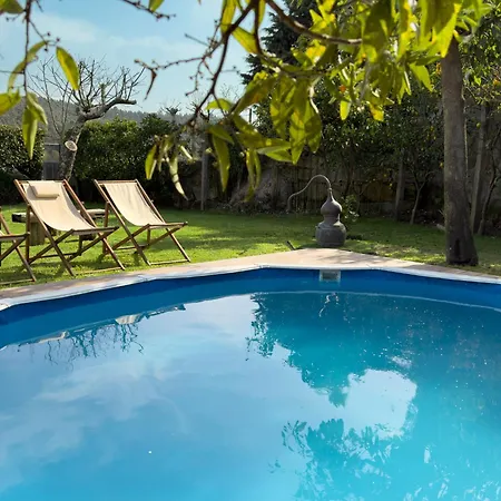 Olival House Tatil Evi