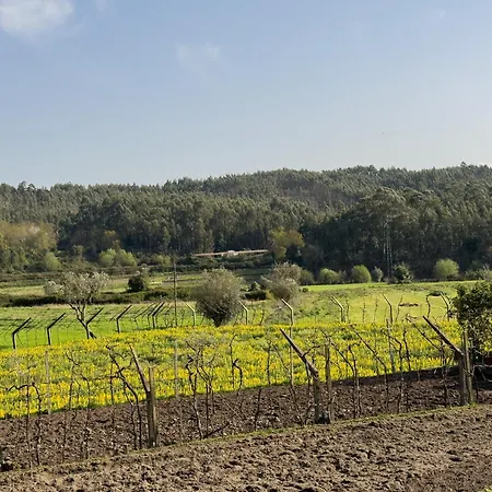 בית נופש Olival House
