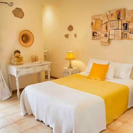 Olival House * Paço de Sousa