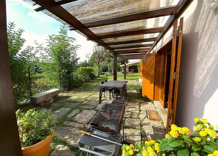 Olival House Paço de Sousa