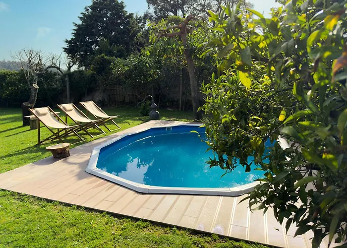 Olival House Vakantiehuis *