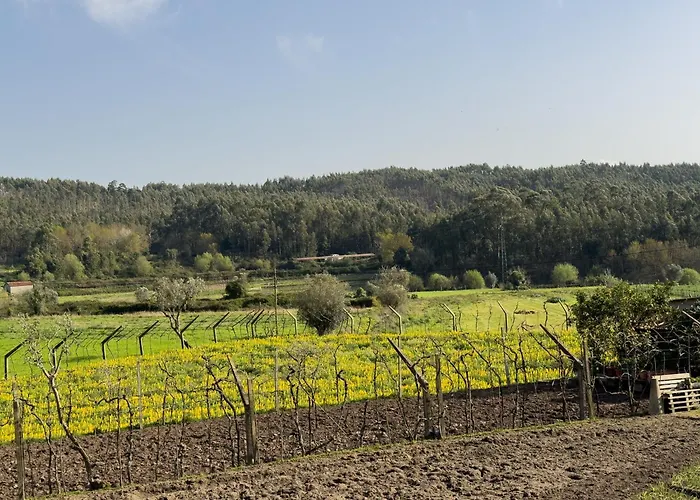 Vakantiehuis Olival House