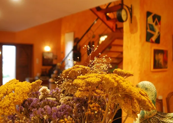 Olival House Paço de Sousa